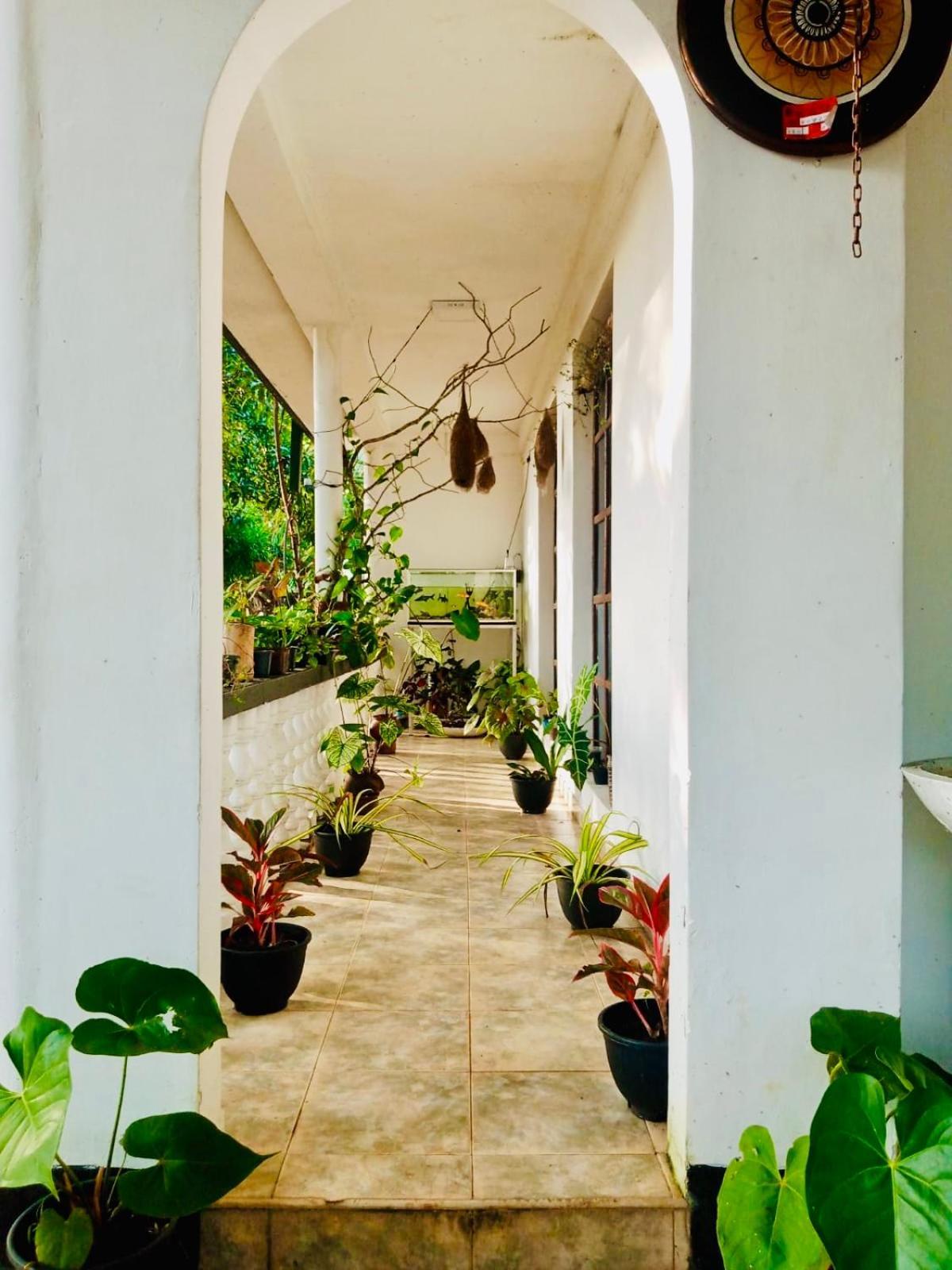 Abhaya Resorts Anuradhapura Exterior photo